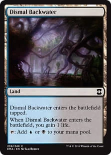 DismalBackwater.jpg