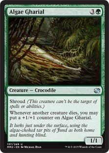AlgaeGharial.jpg