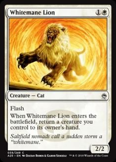 WhitemaneLion.jpg
