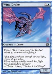 wind_drake.jpg