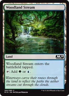 WoodlandStream.jpg