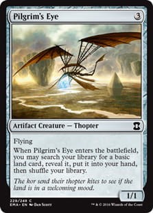 PilgrimsEye.jpg