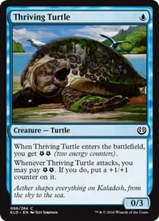 ThrivingTurtle.jpg