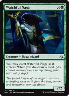 WatchfulNaga.jpg