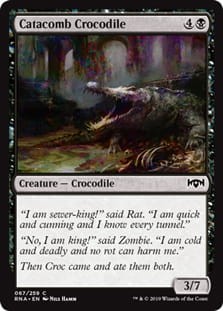 CatacombCrocodile.jpg