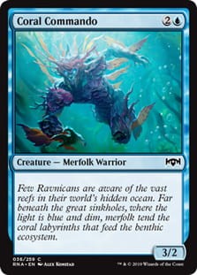 CoralCommando.jpg