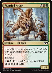 FrenziedArynx.jpg