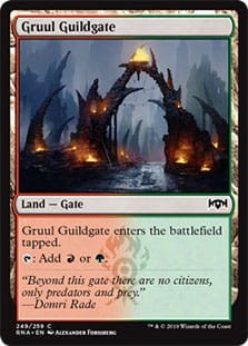 GruulGuildgate249.jpg