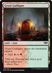 GruulGuildgate250.jpg