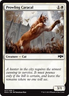 ProwlingCaracal.jpg