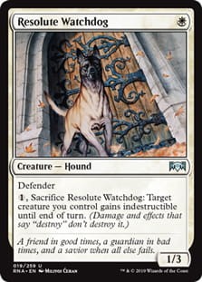 ResoluteWatchdog.jpg