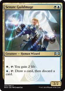 SenateGuildmage.jpg