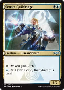SenateGuildmage.jpg