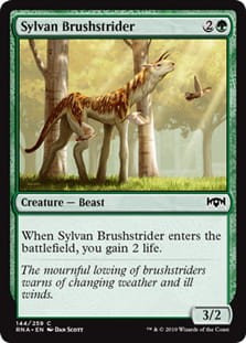 SylvanBrushstrider.jpg