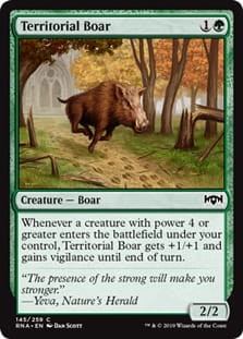 TerritorialBoar.jpg