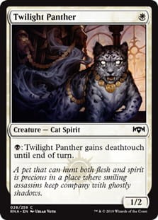 TwilightPanther.jpg