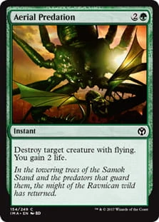AerialPredation.jpg