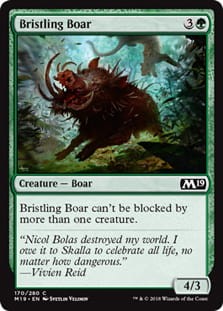 BristlingBoar.jpg