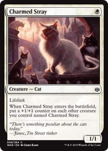 CharmedStray.jpg