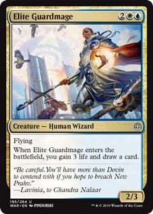EliteGuardmage.jpg