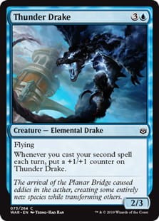 ThunderDrake.jpg