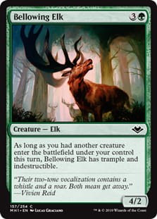 BellowingElk.jpg