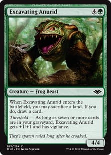 ExcavatingAnurid.jpg