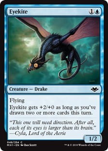 Eyekite.jpg