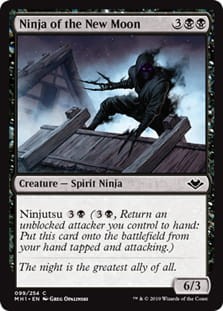 NinjaOfTheNewMoon.jpg
