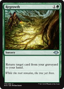 Regrowth.jpg