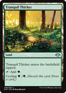 TranquilThicket.jpg