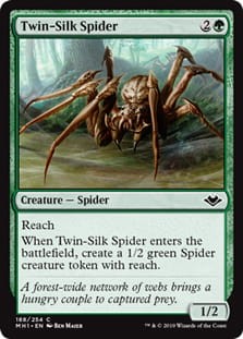 TwinSilkSpider.jpg