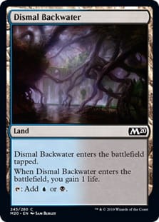 DismalBackwater.jpg