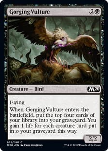 GorgingVulture.jpg