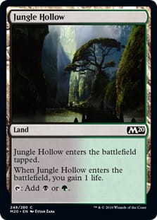 JungleHollow.jpg