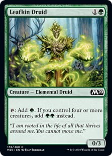 LeafkinDruid.jpg