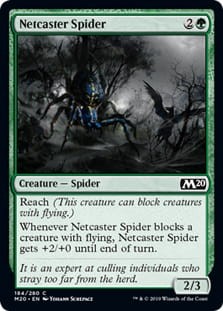 NetcasterSpider.jpg