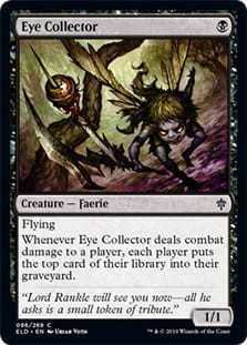 EyeCollector.jpg