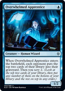 OverwhelmedApprentice.jpg