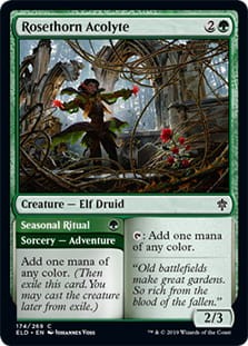 RosethornAcolyte.jpg