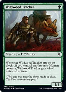 WildwoodTracker.jpg