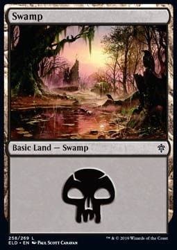 Swamp 258.jpg