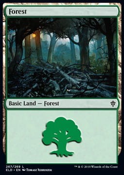 402904.jpg