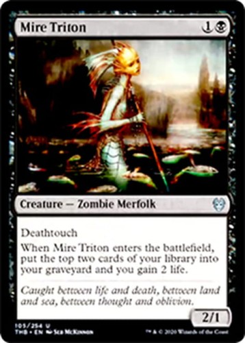 MireTriton__74201.1577830138.jpg