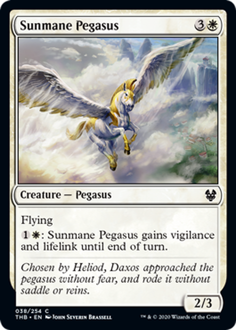SunmanePegasus__31891.1578677432.png