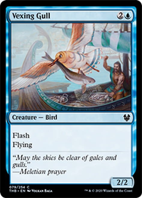 VexingGull__47735.1578330004.jpg