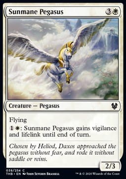 Sunmane peg - foil.jpg