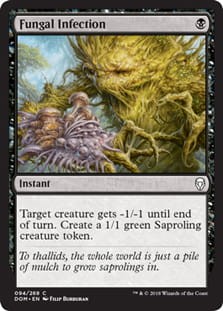 FungalInfection.jpg