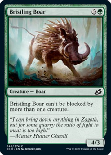 BristlingBoar__72801.1585842108.jpg
