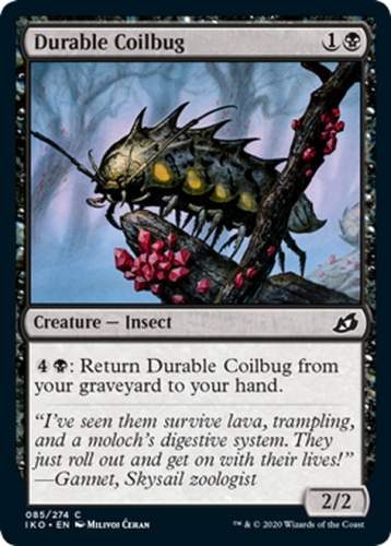 DurableCoilbug__92010.1586531011.png